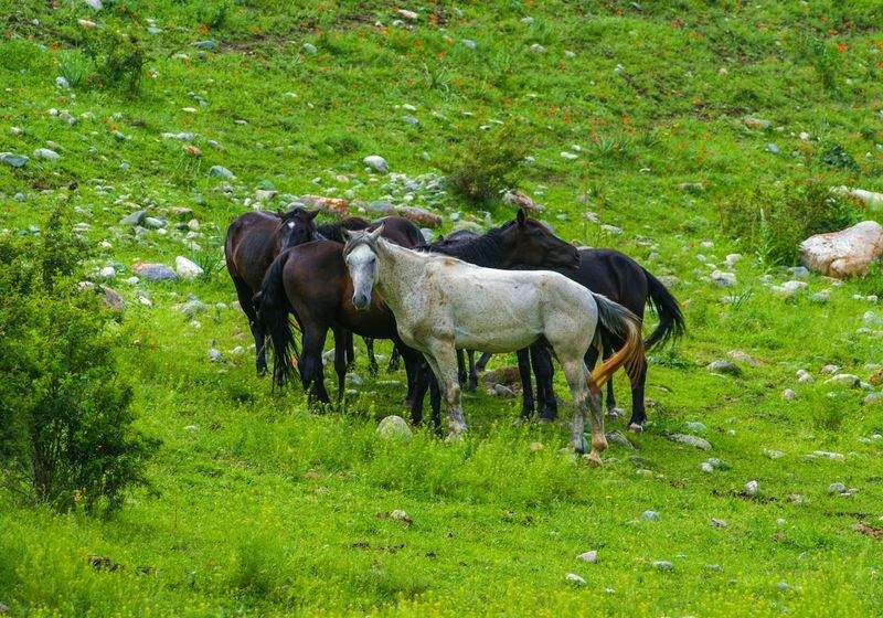グルメ体験ツアー